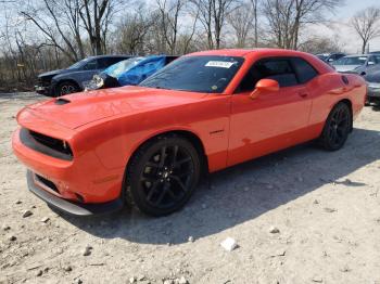  Salvage Dodge Challenger