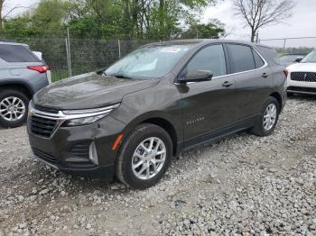  Salvage Chevrolet Equinox