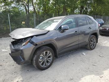  Salvage Toyota RAV4