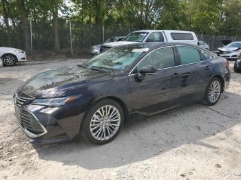  Salvage Toyota Avalon