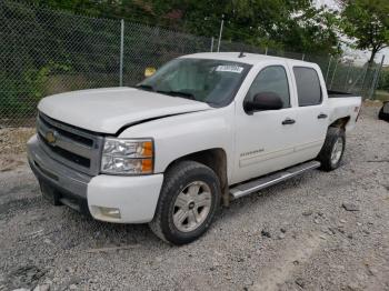  Salvage Chevrolet Silverado