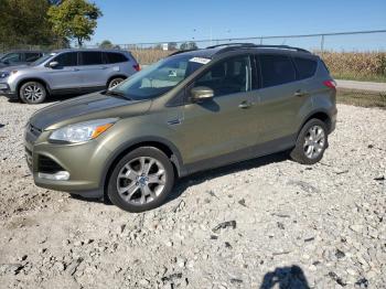  Salvage Ford Escape