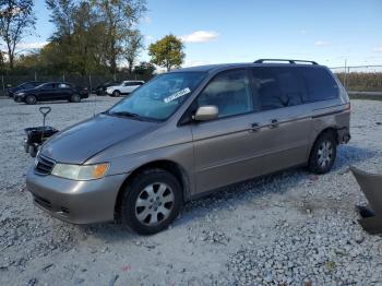  Salvage Honda Odyssey