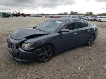  Salvage Nissan Maxima