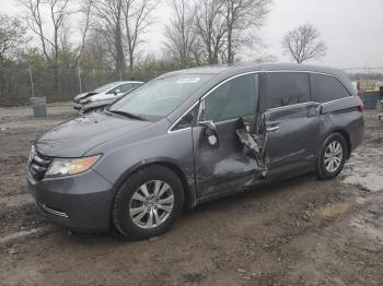  Salvage Honda Odyssey