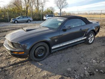  Salvage Ford Mustang