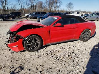  Salvage Ford Mustang