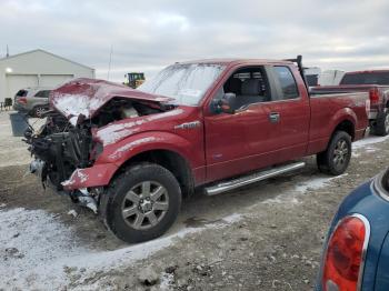  Salvage Ford F-150