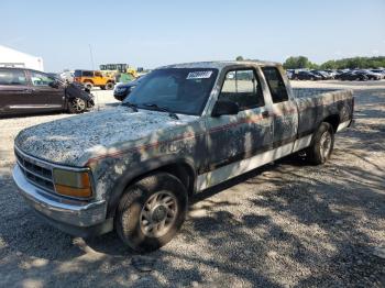  Salvage Dodge Dakota