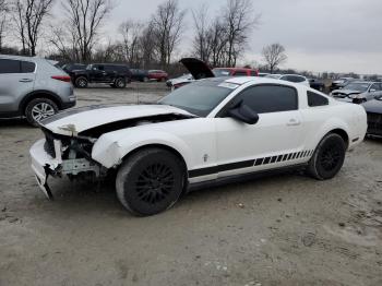  Salvage Ford Mustang