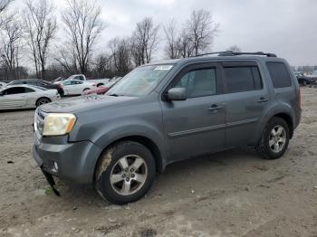  Salvage Honda Pilot