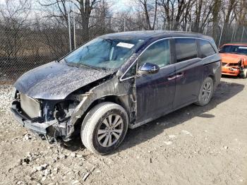  Salvage Honda Odyssey