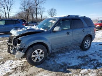  Salvage Ford Escape