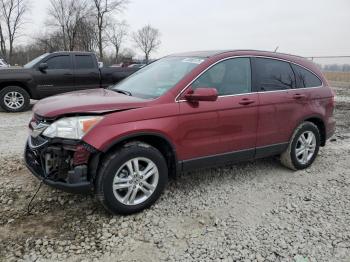  Salvage Honda Crv