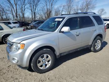  Salvage Ford Escape