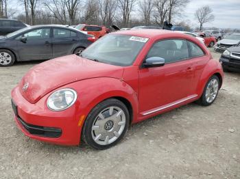  Salvage Volkswagen Beetle