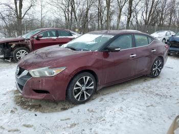  Salvage Nissan Maxima