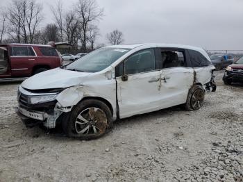  Salvage Honda Odyssey