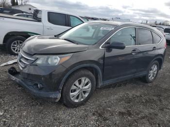  Salvage Honda Crv