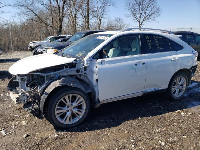  Salvage Lexus RX