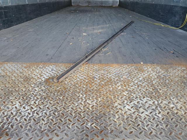 Great Dane Other Image 6