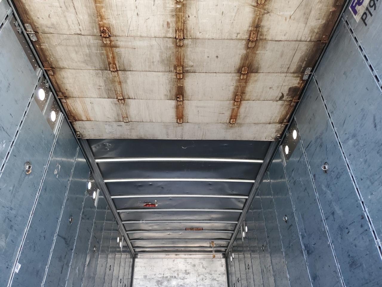 Great Dane Other Image 7