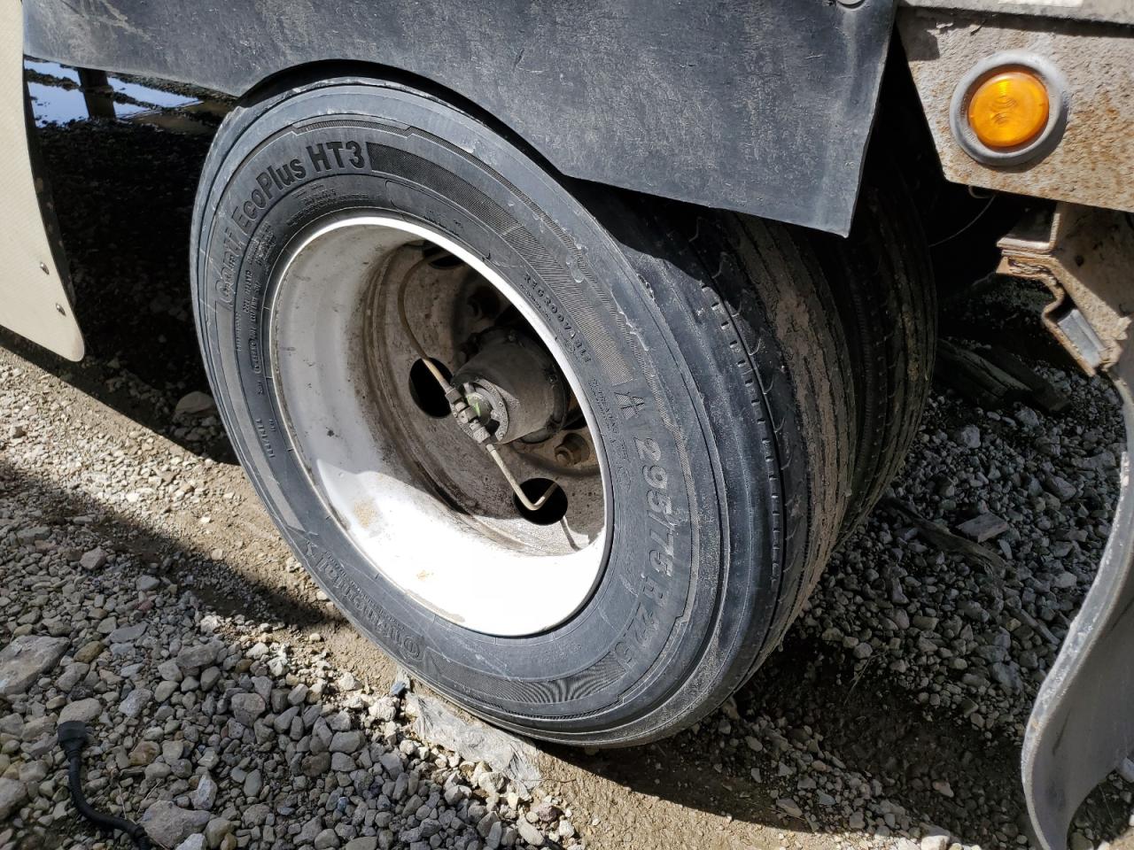 Great Dane Other Image 8