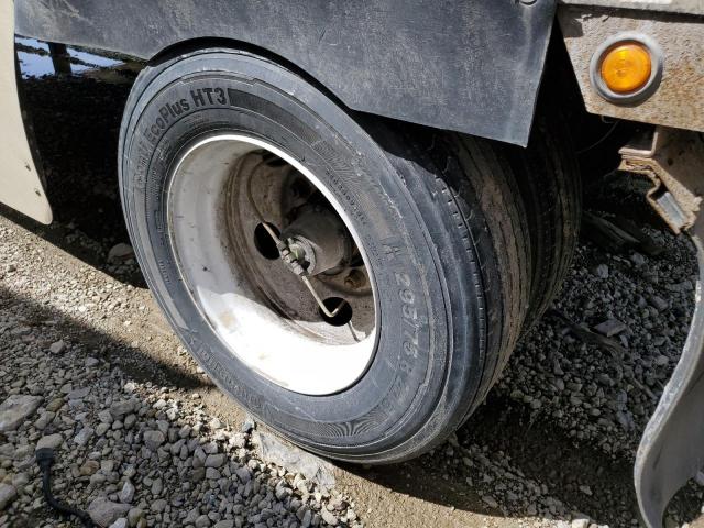 Great Dane Other Image 8