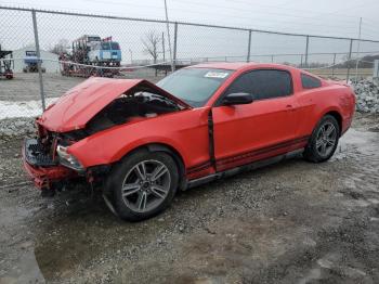  Salvage Ford Mustang
