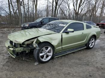  Salvage Ford Mustang