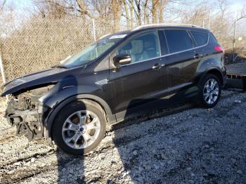  Salvage Ford Escape