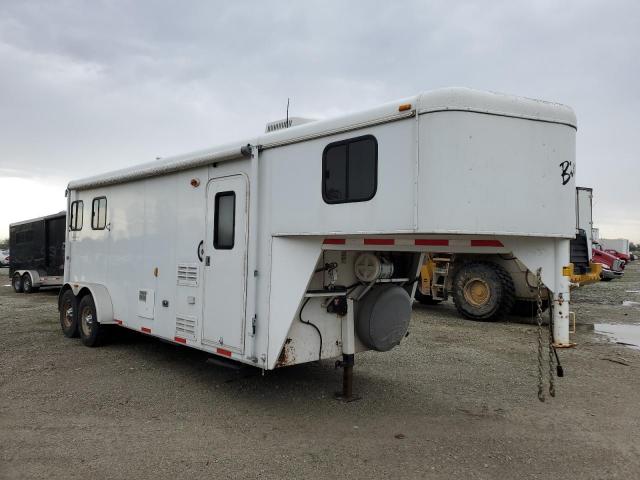  Salvage Bison Bisontrail