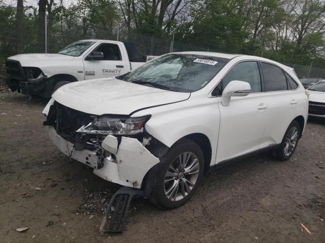  Salvage Lexus RX