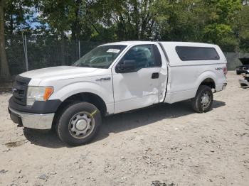  Salvage Ford F-150
