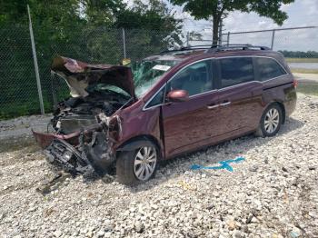  Salvage Honda Odyssey