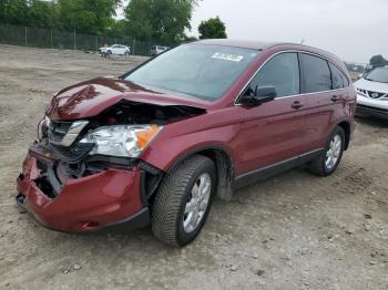  Salvage Honda Crv