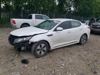  Salvage Kia Optima