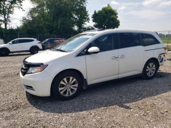  Salvage Honda Odyssey