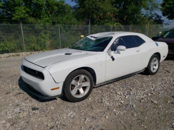  Salvage Dodge Challenger