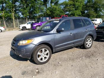  Salvage Hyundai SANTA FE