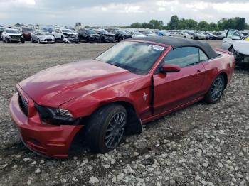  Salvage Ford Mustang