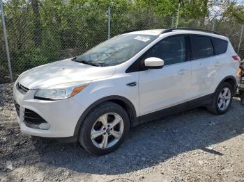  Salvage Ford Escape