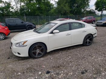  Salvage Nissan Maxima