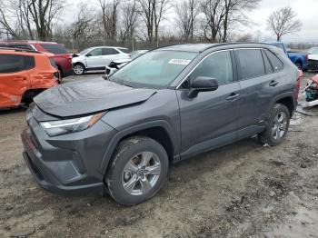  Salvage Toyota RAV4