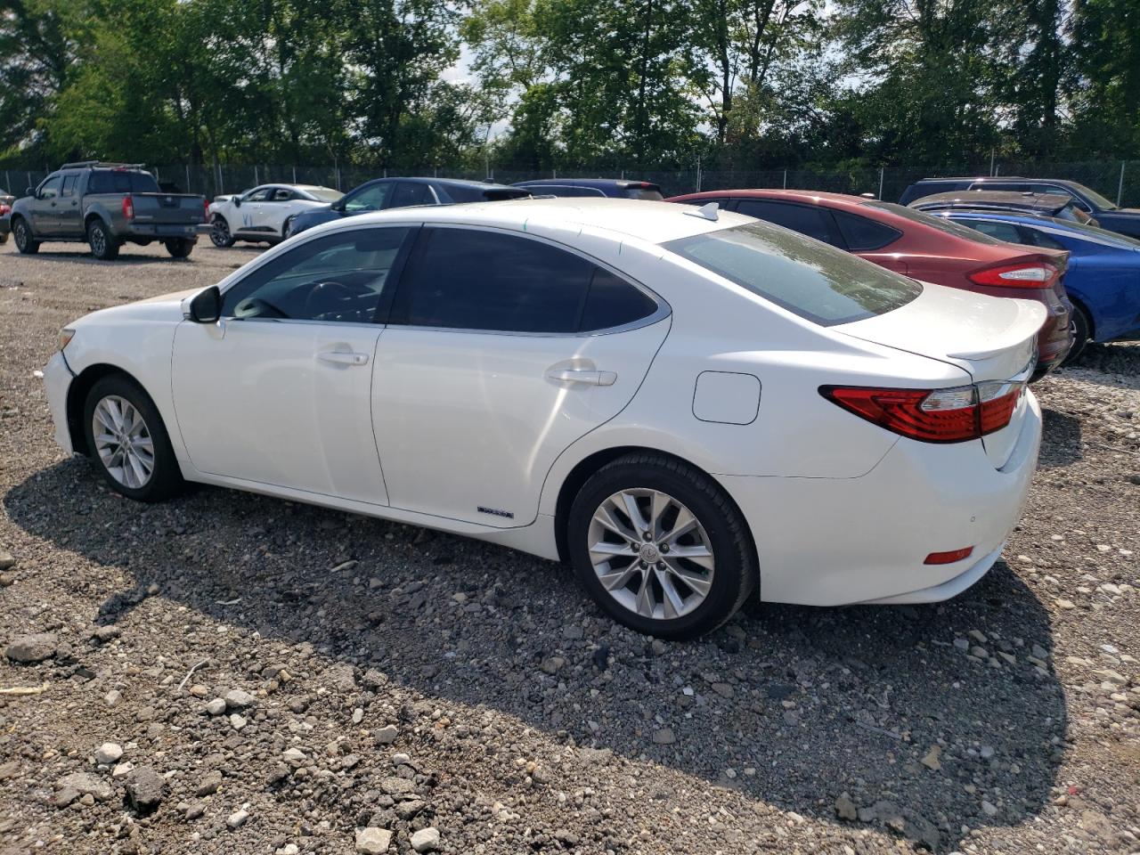 Lexus Es 300h Image 6