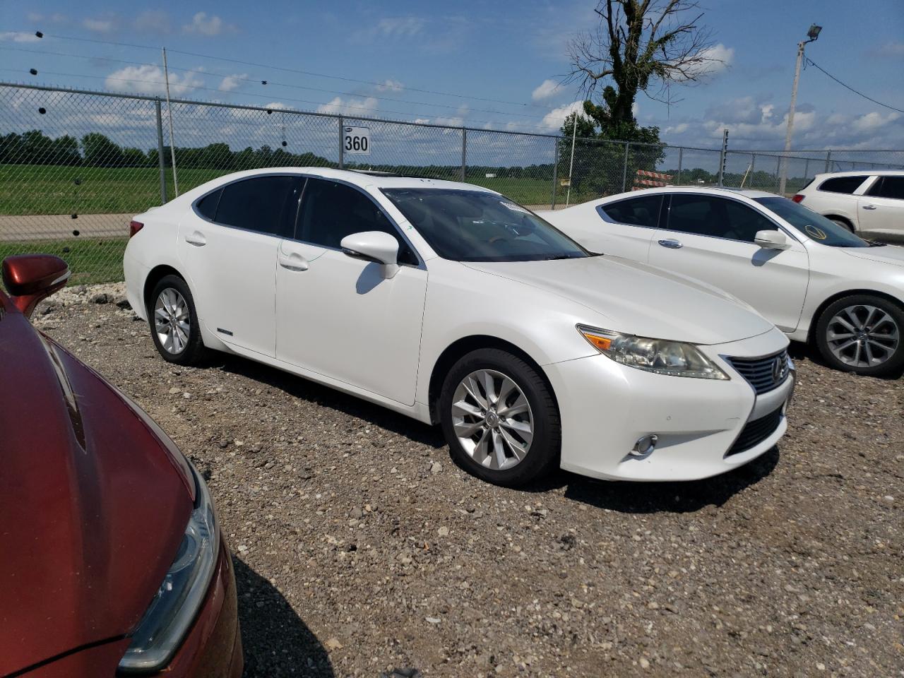 Lexus Es 300h Image 4