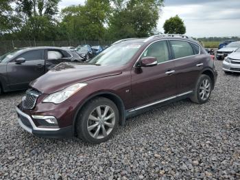  Salvage INFINITI Qx
