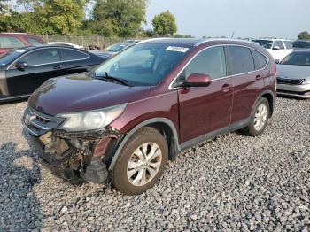  Salvage Honda Crv
