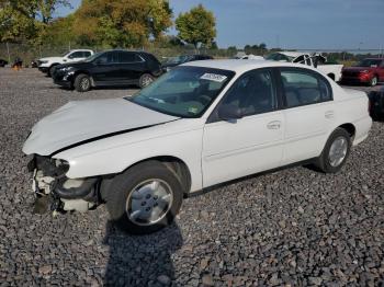  Salvage Chevrolet Malibu