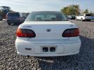 Chevrolet Malibu Image 3